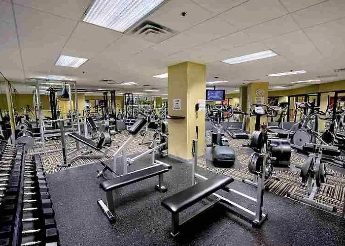 Hotel Sheraton Naperville Lisle