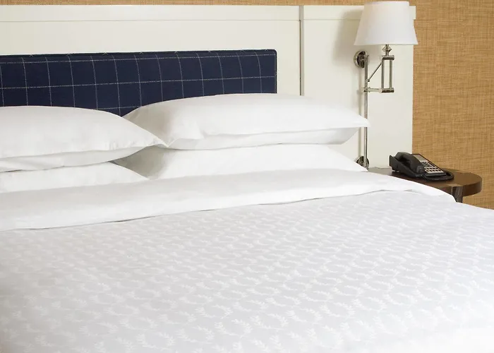 Hotel Sheraton Naperville